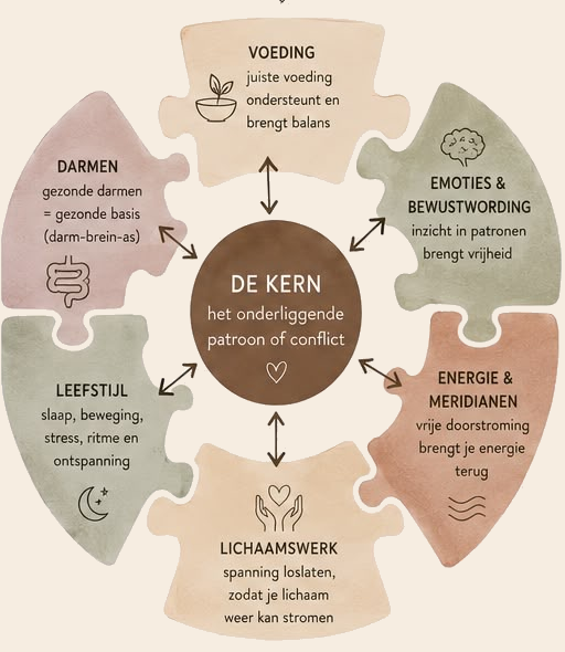 Ayni-werkwijze: DE KERN — het onderliggende patroon of conflict — met zes samenhangende pijlers eromheen: Voeding, Emoties & bewustwording, Energie & meridianen, Lichaamswerk, Leefstijl en Darmen.